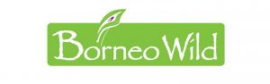 borneo-wild-logo